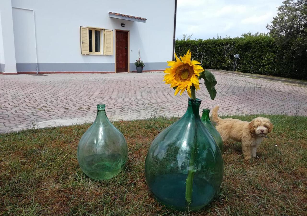 Casa Amrita, Yoga B&B Teramo Extérieur photo