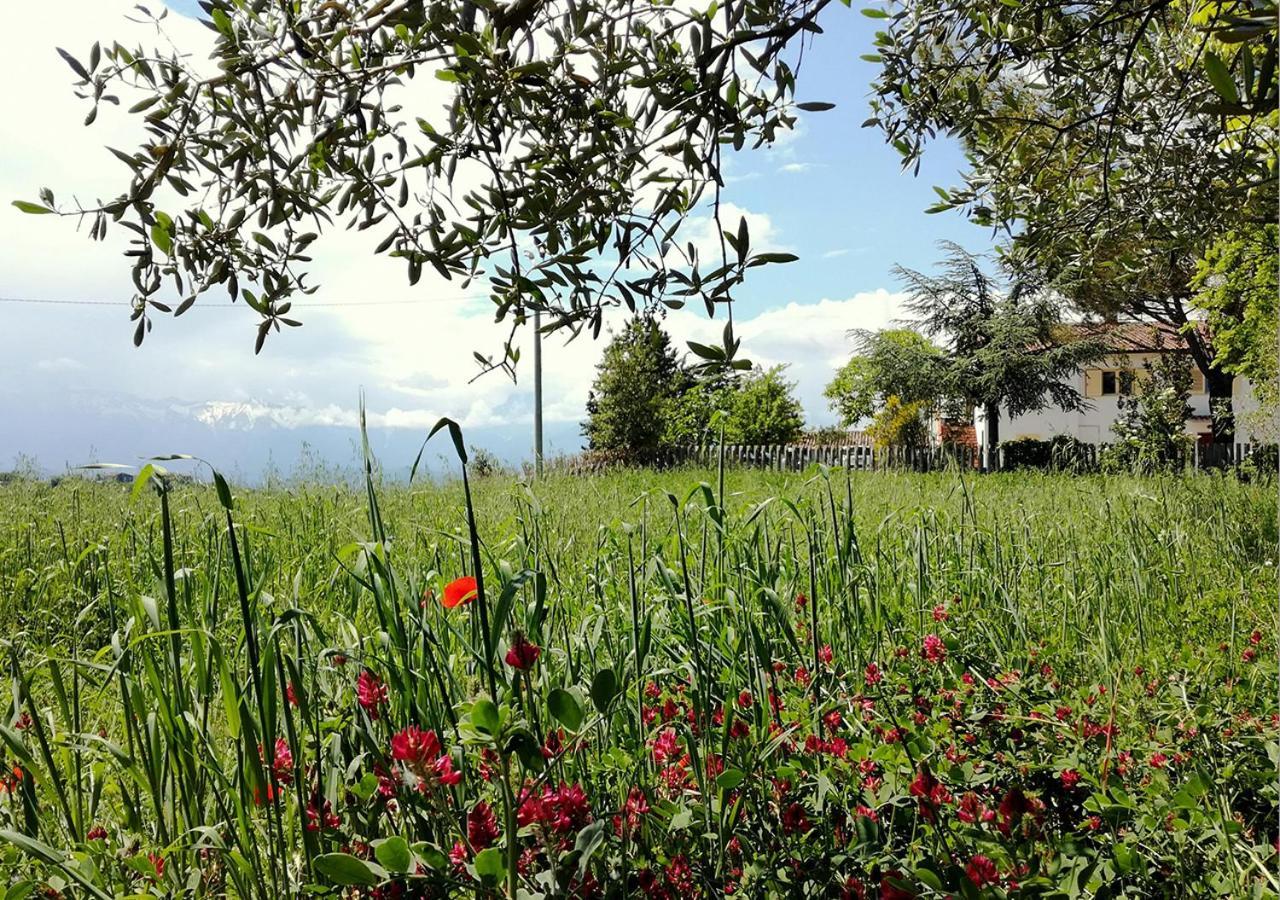 Casa Amrita, Yoga B&B Teramo Extérieur photo
